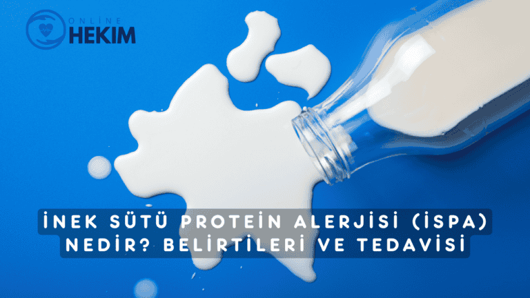 İnek Sütü Protein Alerjisi (İSPA) Nedir Belirtileri ve Tedavisi